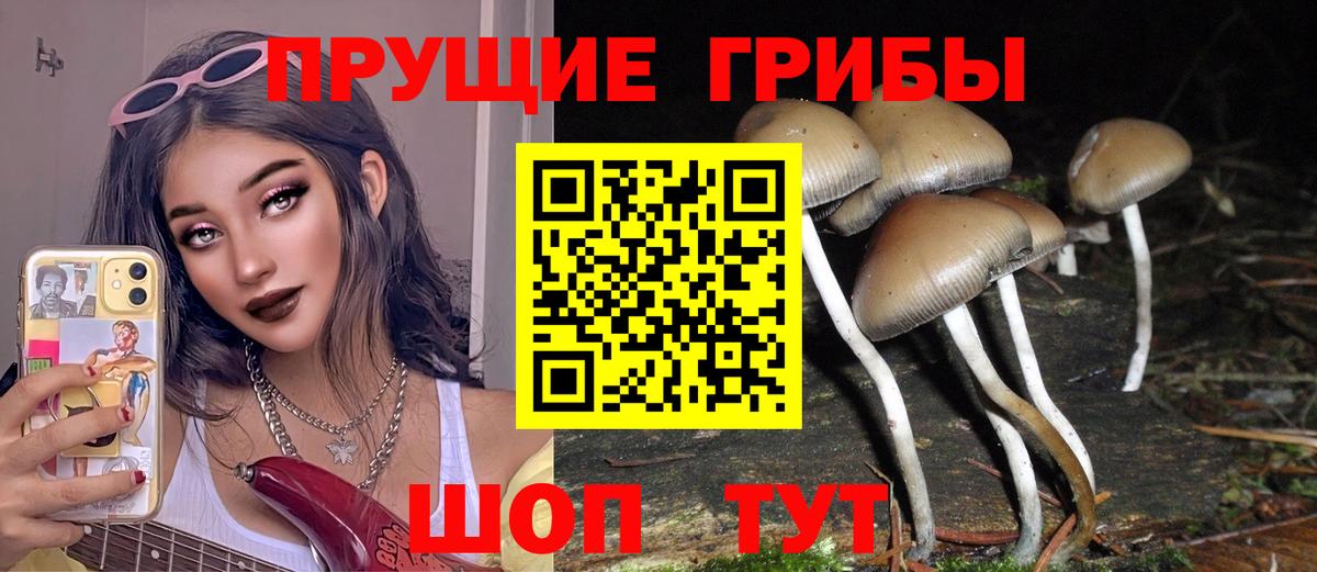 Галлюциногенные грибы Psilocybe  Галлюциногенные грибы GOLDEN TEACHER  Вход с VPN  Сызрань 