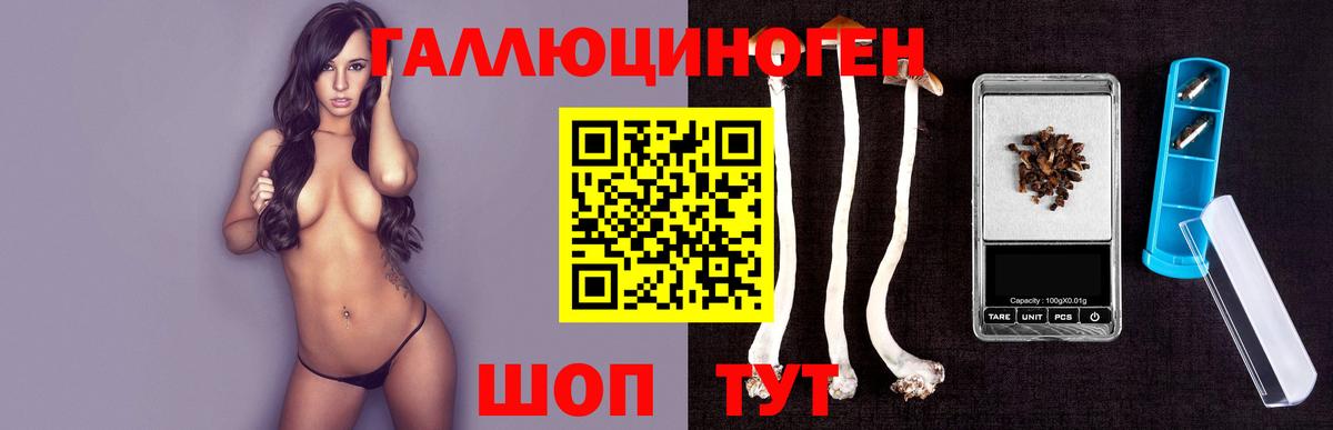 Галлюциногенные грибы Psilocybe Сызрань